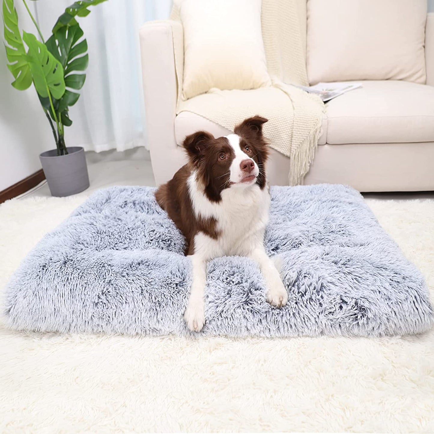 Large Dog Bed Washable Cat Dog Calming Mats Anti-Slip Bottom